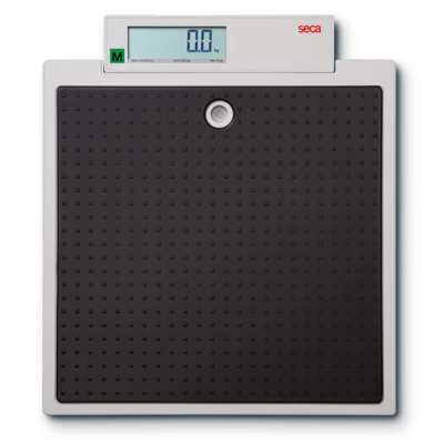 seca 875 Class (III) Digital Floor Scale